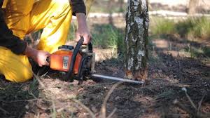 Best Lot and Land Clearing  in Redlands, CA