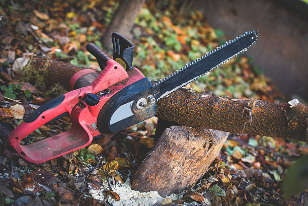 Best Lawn Disease Treatment  in Redlands, CA